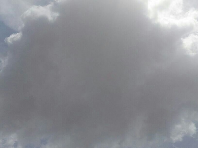     . 

:	uploadfromtaptalk1376385780340.jpg 
:	100 
:	24.2  
:	5235