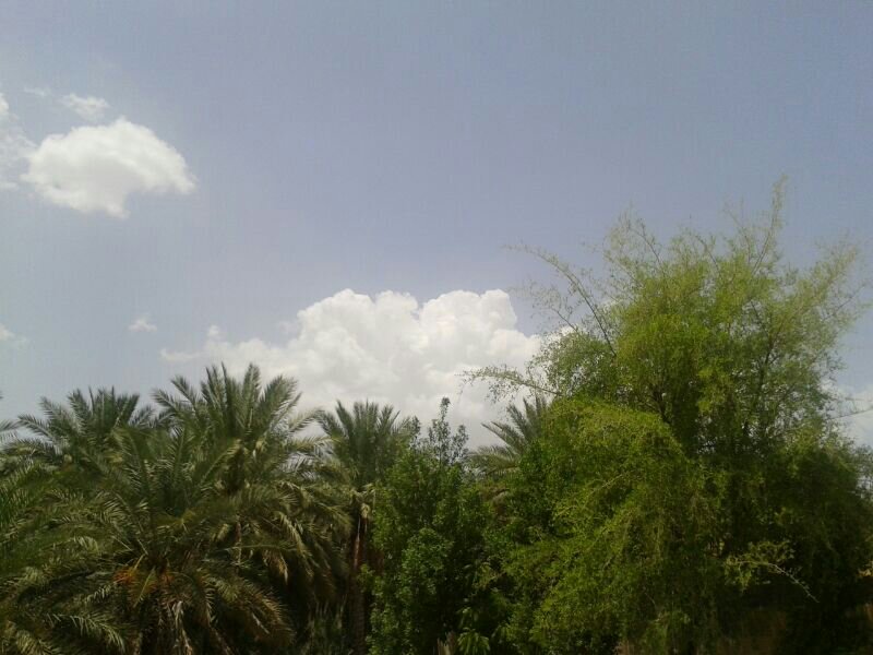 :	uploadfromtaptalk1376724481114.jpg
: 78
:	72.7 