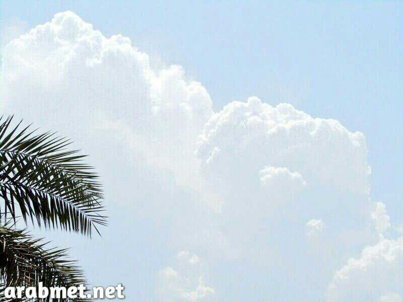 :	uploadfromtaptalk1376819162640.jpg
: 71
:	50.7 
