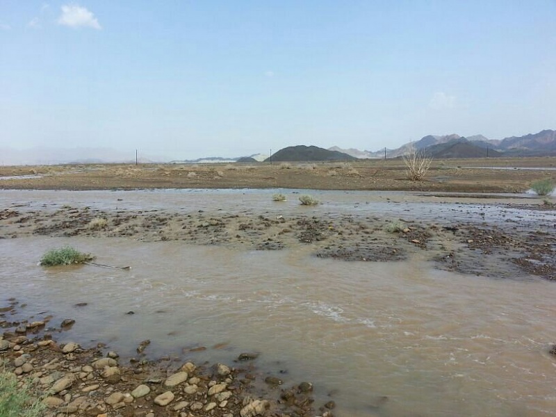 ���� ��� ������ ���� ����.&nbsp;

�����:	uploadfromtaptalk1377436819971.jpg&nbsp;
�������:	161&nbsp;
�����:	73.3 ��������&nbsp;
������:	5934