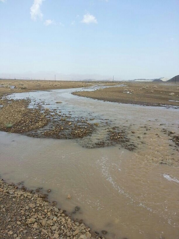 ���� ��� ������ ���� ����.&nbsp;

�����:	uploadfromtaptalk1377436835974.jpg&nbsp;
�������:	173&nbsp;
�����:	75.8 ��������&nbsp;
������:	5935