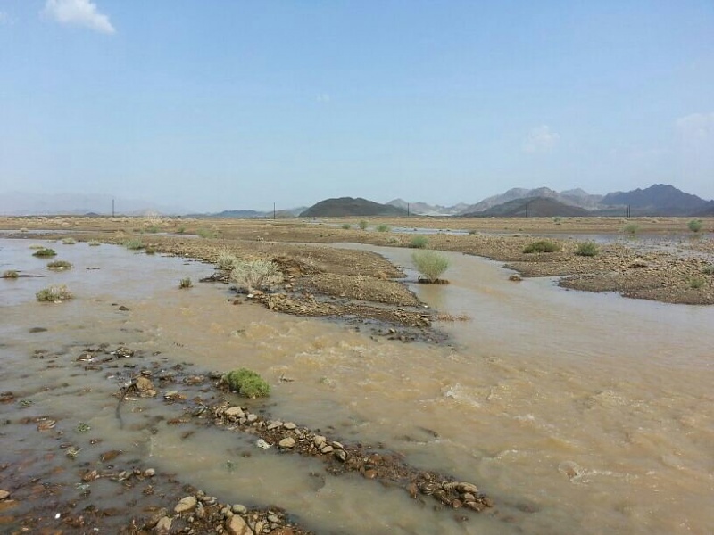 ���� ��� ������ ���� ����.&nbsp;

�����:	uploadfromtaptalk1377436850268.jpg&nbsp;
�������:	175&nbsp;
�����:	69.5 ��������&nbsp;
������:	5936