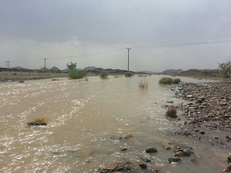 ���� ��� ������ ���� ����.&nbsp;

�����:	uploadfromtaptalk1377436867284.jpg&nbsp;
�������:	159&nbsp;
�����:	85.2 ��������&nbsp;
������:	5937