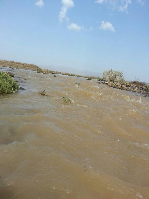 ���� ��� ������ ���� ����.&nbsp;

�����:	uploadfromtaptalk1377436884792.jpg&nbsp;
�������:	166&nbsp;
�����:	49.6 ��������&nbsp;
������:	5938