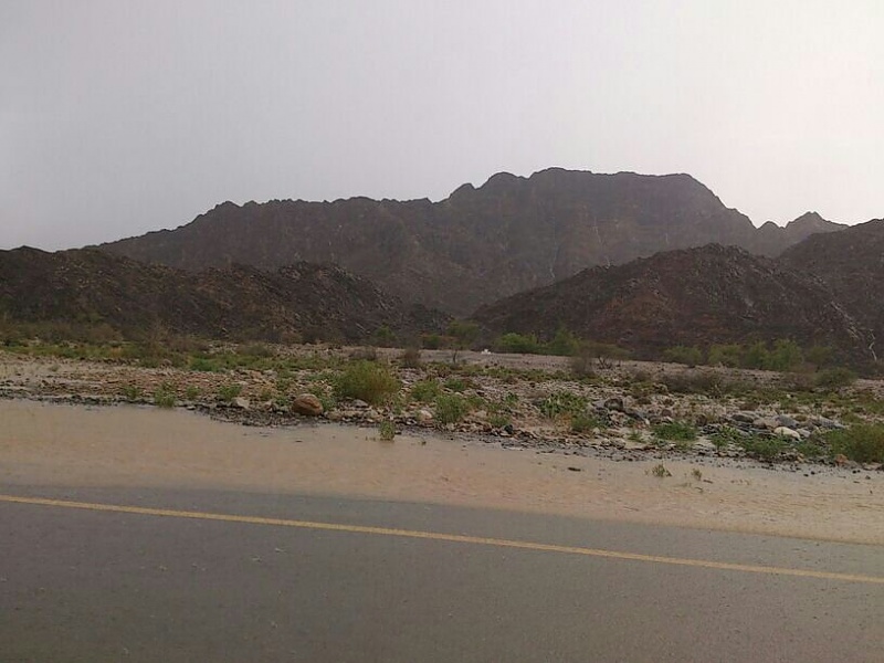     . 

:	uploadfromtaptalk1377535335379.jpg 
:	105 
:	64.8  
:	5944