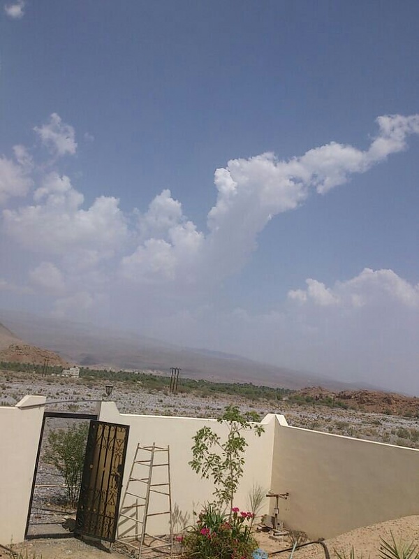     . 

:	uploadfromtaptalk1377769113833.jpg 
:	100 
:	63.1  
:	6086