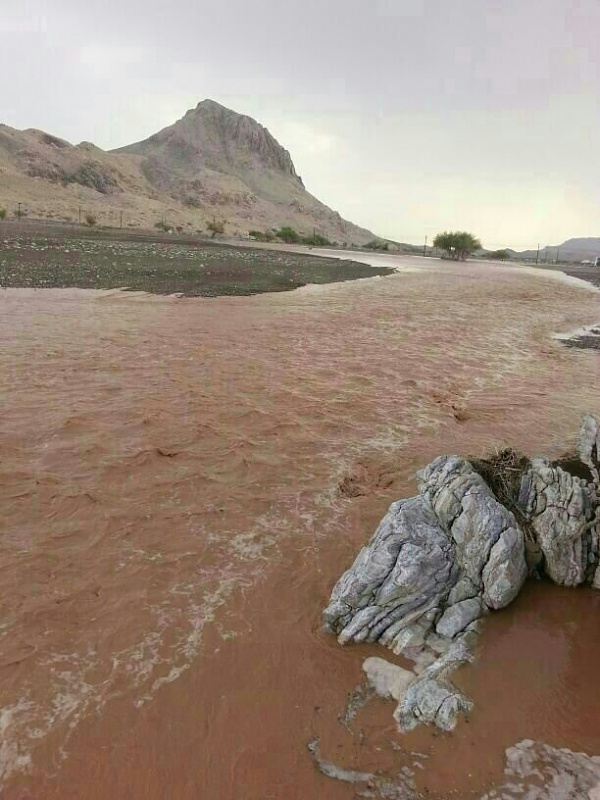     . 

:	uploadfromtaptalk1377787317058.jpg 
:	119 
:	78.1  
:	6165