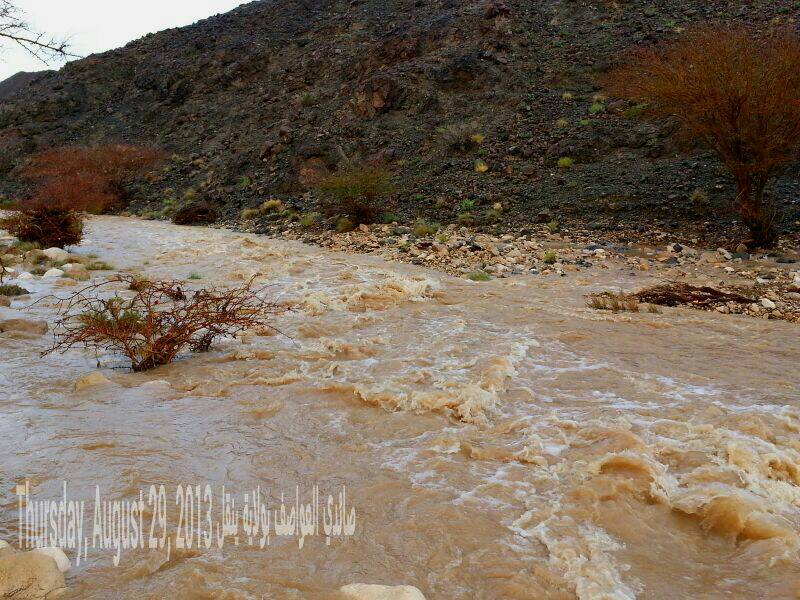 :	uploadfromtaptalk1377797271864.jpg
: 105
:	113.0 