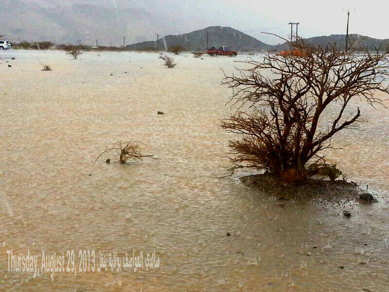 :	uploadfromtaptalk1377797282582.jpg
: 102
:	93.2 