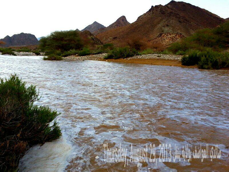 :	uploadfromtaptalk1377797386196.jpg
: 108
:	105.7 