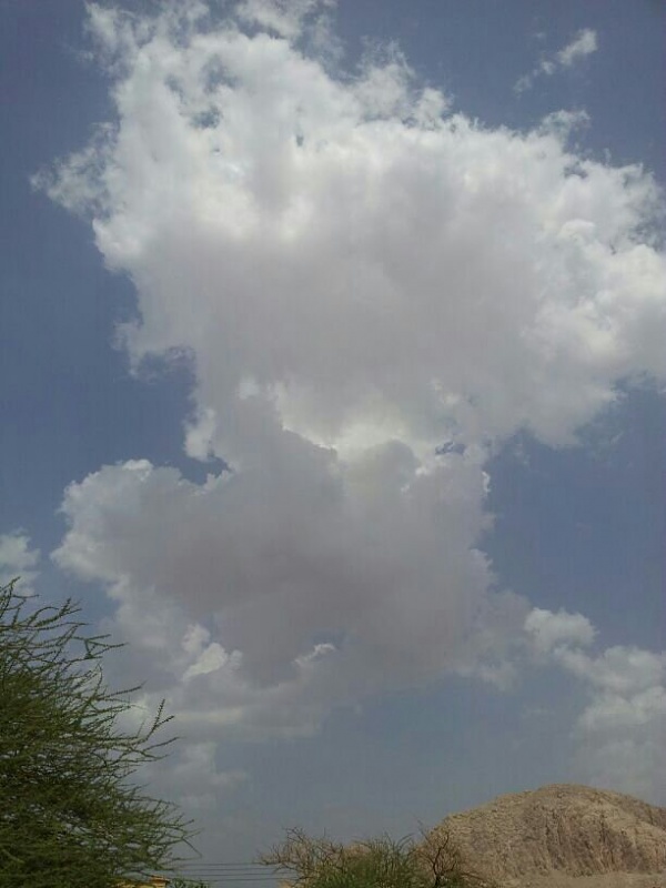     . 

:	uploadfromtaptalk1377942546662.jpg 
:	86 
:	45.8  
:	6223