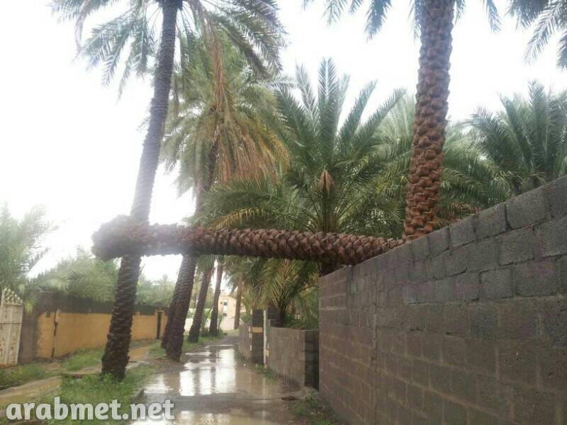 :	uploadfromtaptalk1378234661934.jpg
: 96
:	64.1 