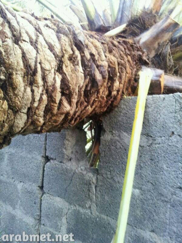 :	uploadfromtaptalk1378235392933.jpg
: 118
:	84.5 