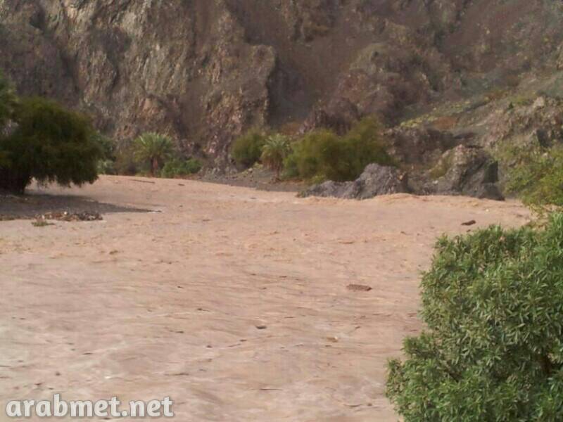 :	uploadfromtaptalk1378649973271.jpg
: 86
:	57.0 