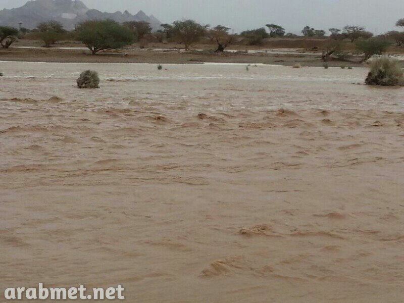 ��������:	uploadfromtaptalk1378650625409.jpg
���������: 101
��������:	77.9 ��������