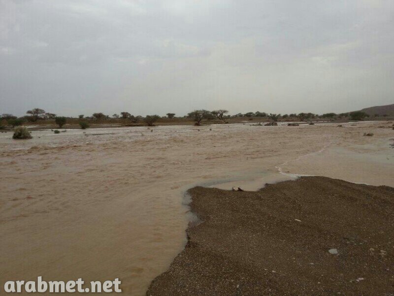 ��������:	uploadfromtaptalk1378650636299.jpg
���������: 97
��������:	69.9 ��������