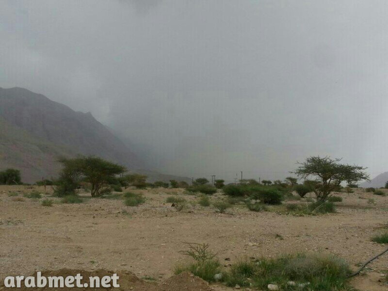 ��������:	uploadfromtaptalk1378650734519.jpg
���������: 111
��������:	65.0 ��������