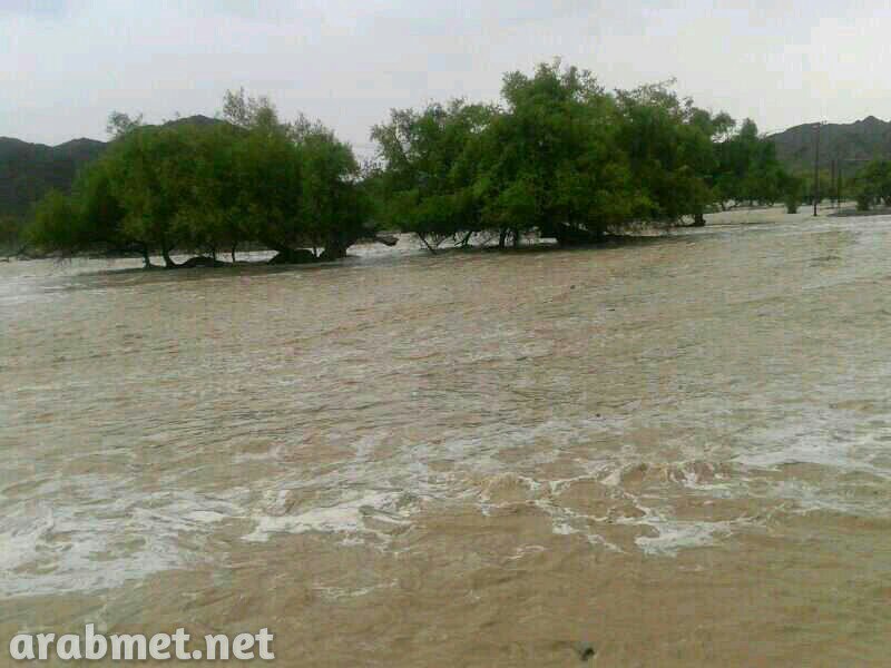 ��������:	uploadfromtaptalk1378651658267.jpg
���������: 102
��������:	69.2 ��������