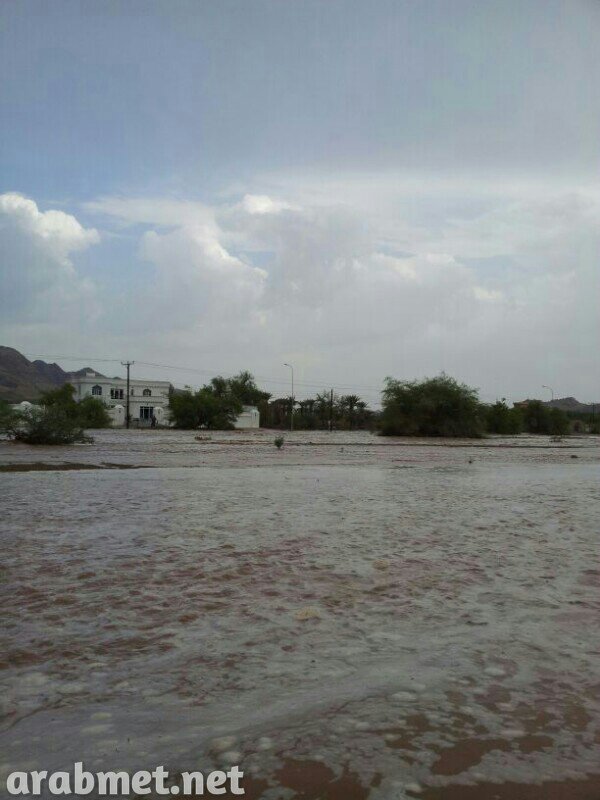 ��������:	uploadfromtaptalk1378652017460.jpg
���������: 103
��������:	68.1 ��������