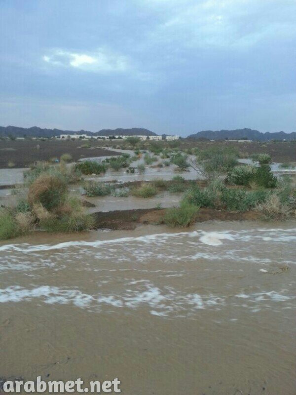 ��������:	uploadfromtaptalk1378671370372.jpg
���������: 225
��������:	68.6 ��������