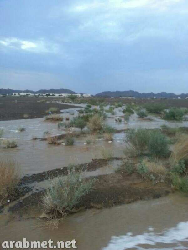 ��������:	uploadfromtaptalk1378671379688.jpg
���������: 278
��������:	64.9 ��������