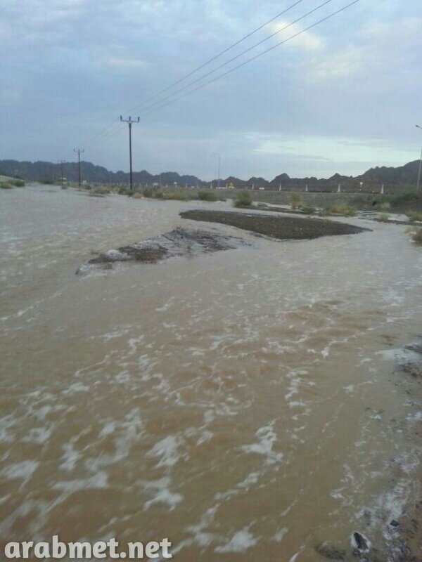 ��������:	uploadfromtaptalk1378671389937.jpg
���������: 227
��������:	66.1 ��������