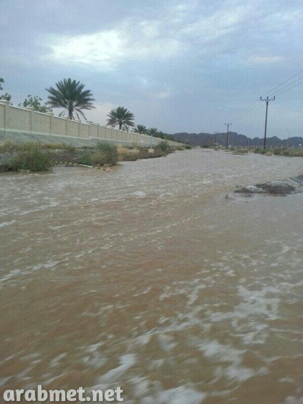 ��������:	uploadfromtaptalk1378671398053.jpg
���������: 222
��������:	68.1 ��������