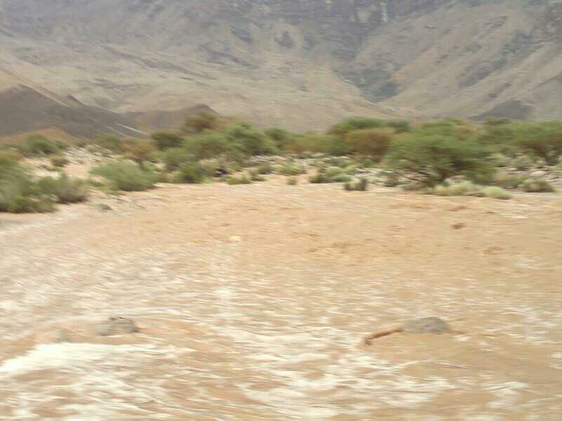 :	uploadfromtaptalk1379081341804.jpg
: 92
:	62.0 