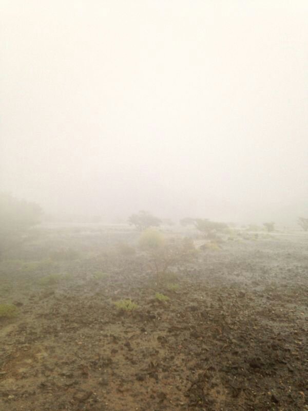 :	uploadfromtaptalk1379177922338.jpg
: 116
:	44.9 