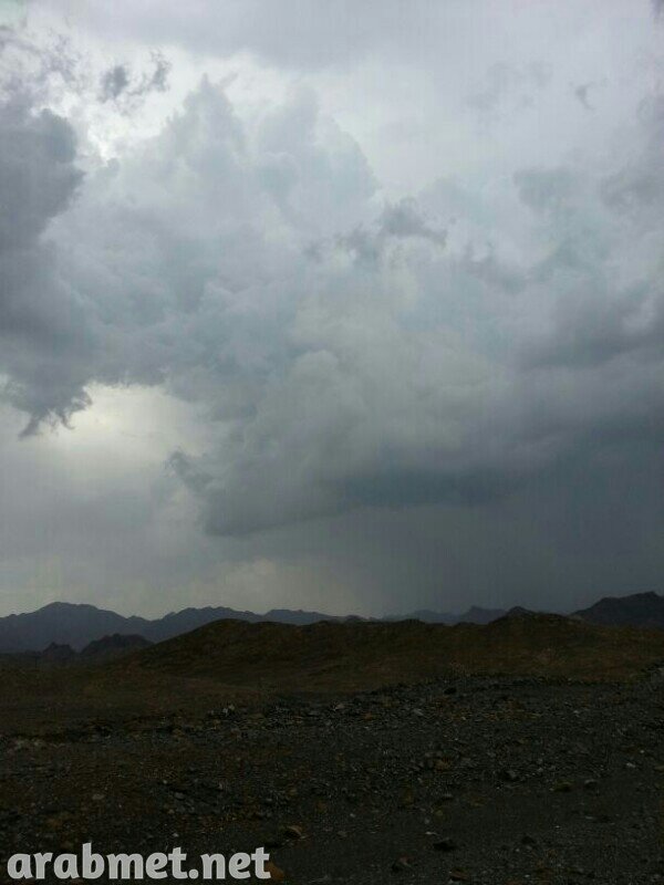 :	uploadfromtaptalk1379537717716.jpg
: 92
:	54.4 