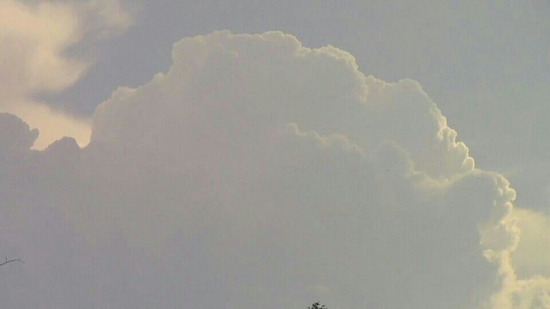     . 

:	uploadfromtaptalk1379598364570.jpg 
:	86 
:	27.7  
:	7353