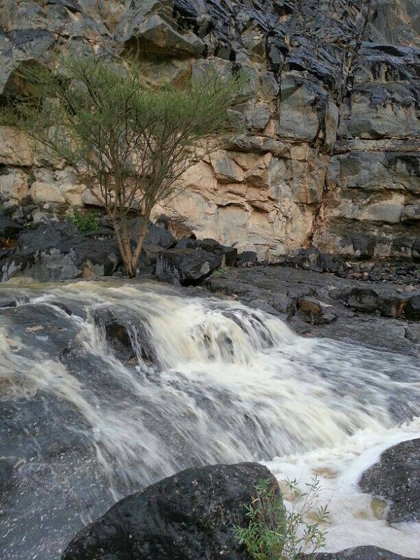     . 

:	uploadfromtaptalk1379608308497.jpg 
:	77 
:	106.8  
:	7396