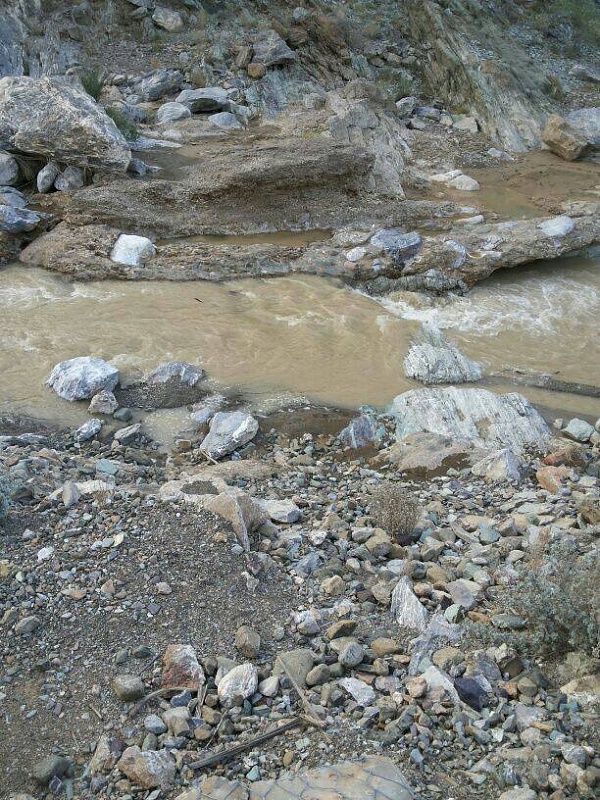 ���� ��� ������ ���� ����.&nbsp;

�����:	uploadfromtaptalk1379692674704.jpg&nbsp;
�������:	128&nbsp;
�����:	141.5 ��������&nbsp;
������:	7427