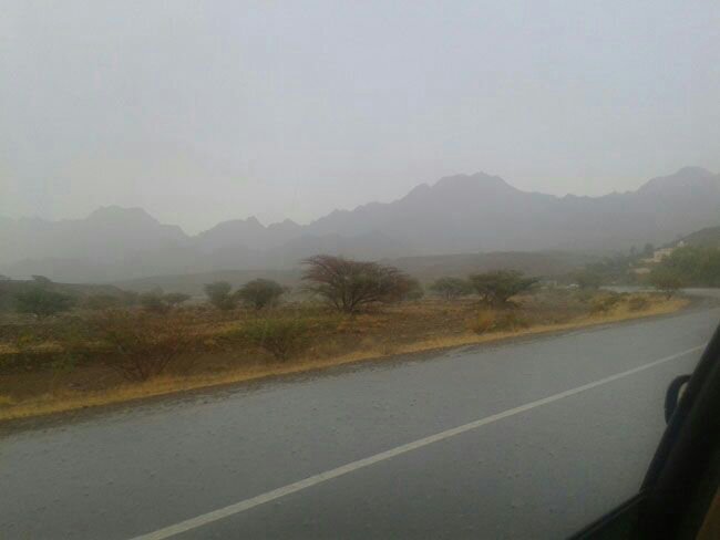 ��������:	uploadfromtaptalk1379693232735.jpg
���������: 130
��������:	25.0 ��������