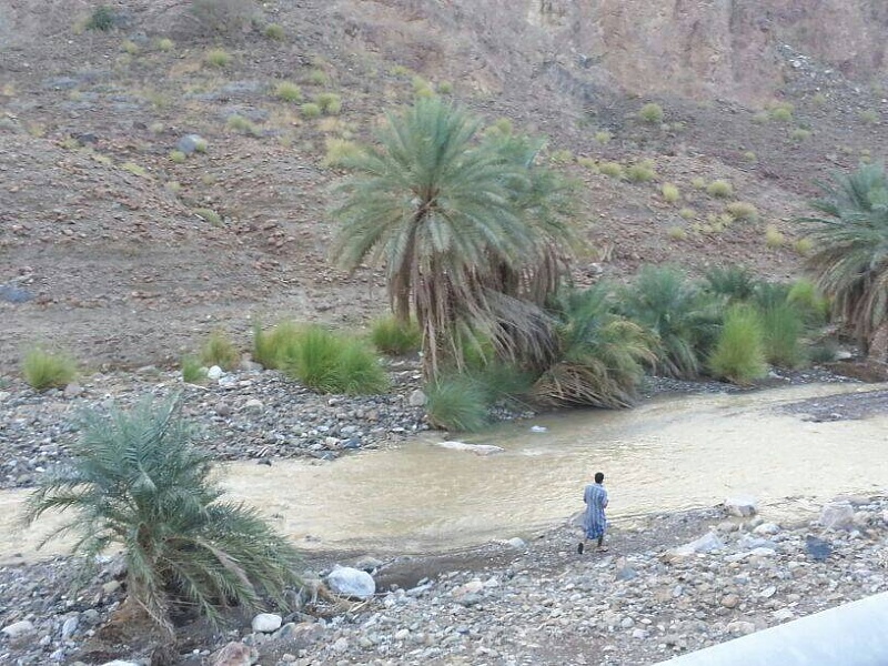 ���� ��� ������ ���� ����.&nbsp;

�����:	uploadfromtaptalk1379695702574.jpg&nbsp;
�������:	125&nbsp;
�����:	101.9 ��������&nbsp;
������:	7432