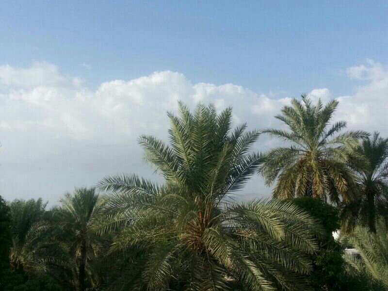 :	uploadfromtaptalk1380719290009.jpg
: 105
:	83.7 