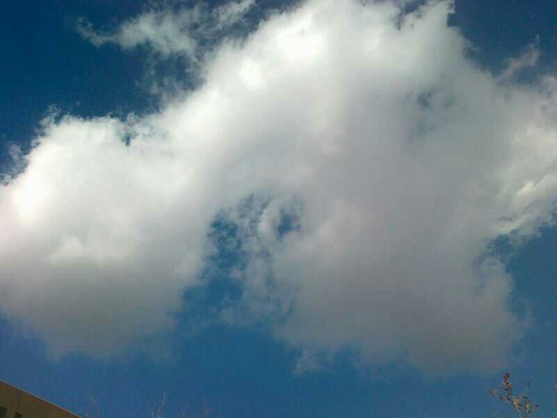 :	uploadfromtaptalk1387451430655.jpg
: 120
:	25.5 