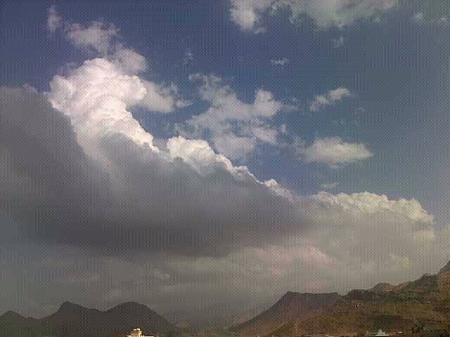 :	uploadfromtaptalk1353578354311.jpg
: 61
:	51.9 