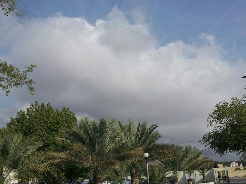     . 

:	uploadfromtaptalk1353733220767.jpg 
:	104 
:	80.4  
:	836