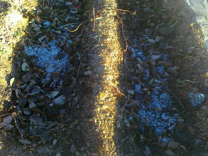 :	uploadfromtaptalk1389249762589.jpg
: 88
:	117.9 