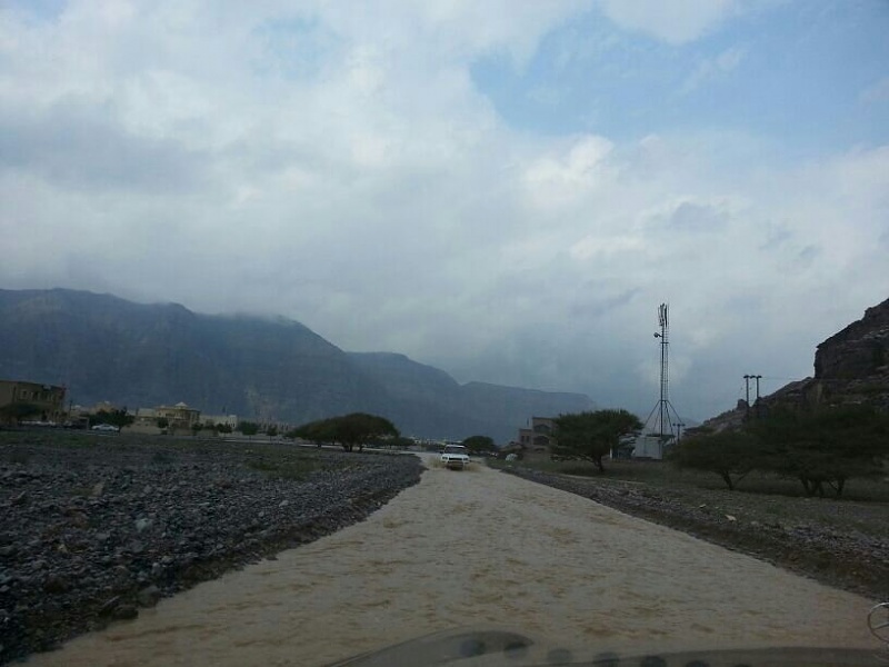     . 

:	uploadfromtaptalk1390121973120.jpg 
:	91 
:	51.5  
:	8805