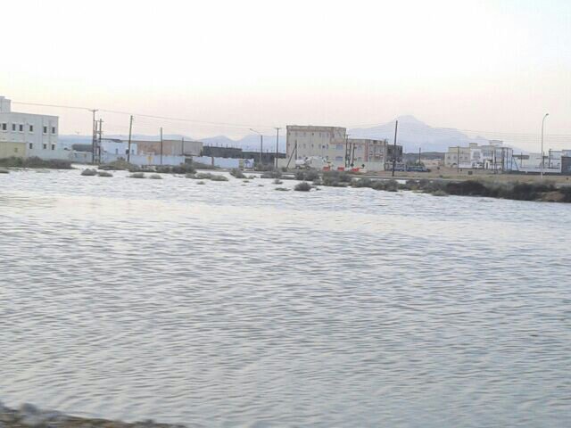 :	uploadfromtaptalk1390280556507.jpg
: 105
:	50.1 
