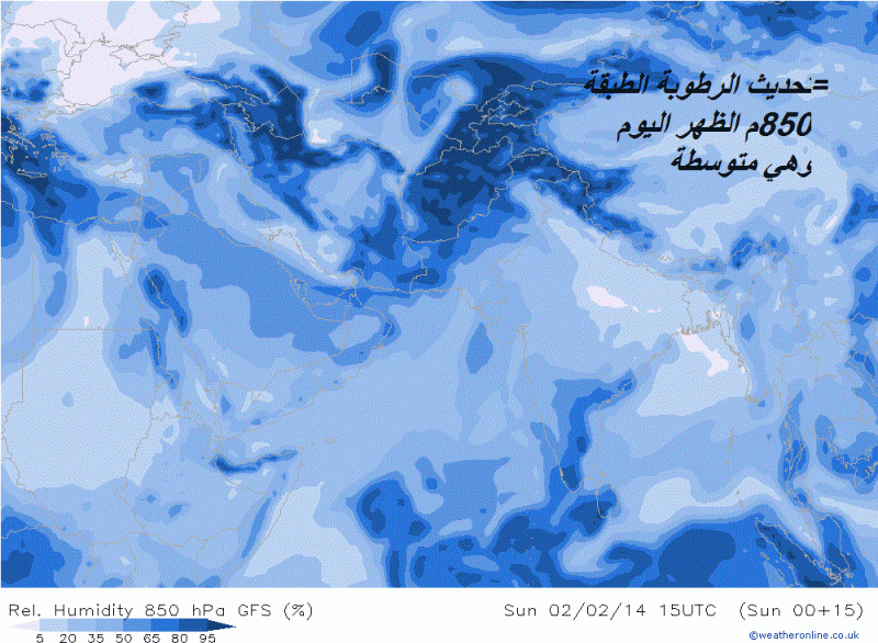     . 

:	.gif 
:	90 
:	263.8  
:	9155