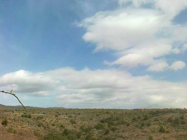 :	uploadfromtaptalk1391331757127.jpg
: 113
:	28.1 