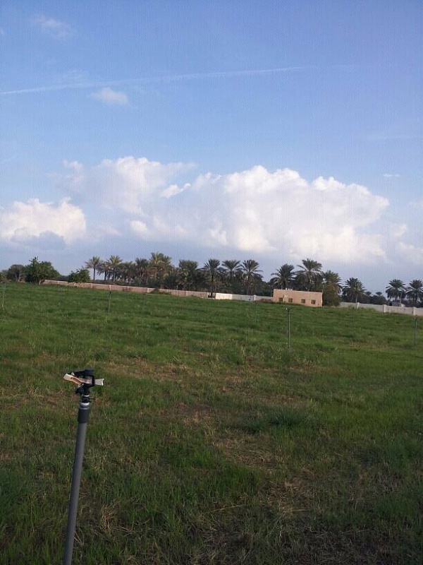     . 

:	uploadfromtaptalk1354165780070.jpg 
:	82 
:	111.8  
:	925