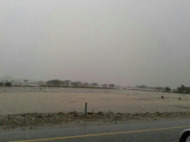 :	uploadfromtaptalk1391938558143.jpg
: 93
:	30.0 