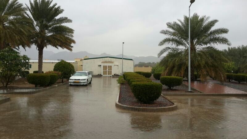 :	uploadfromtaptalk1391938674192.jpg
: 81
:	63.9 