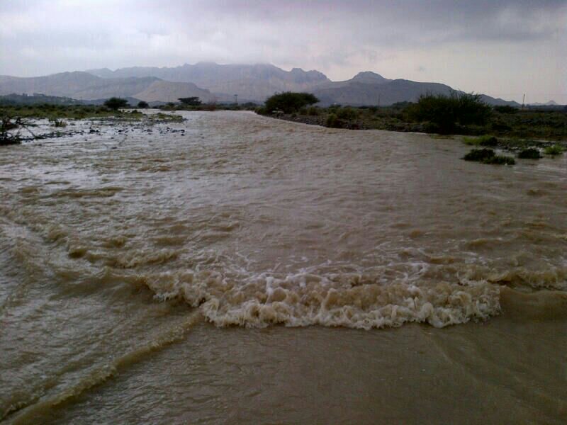 :	uploadfromtaptalk1391938829733.jpg
: 88
:	74.3 