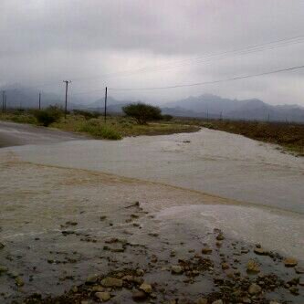 :	uploadfromtaptalk1391938837664.jpg
: 81
:	19.4 