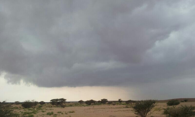 :	uploadfromtaptalk1391939023266.jpg
: 77
:	26.7 